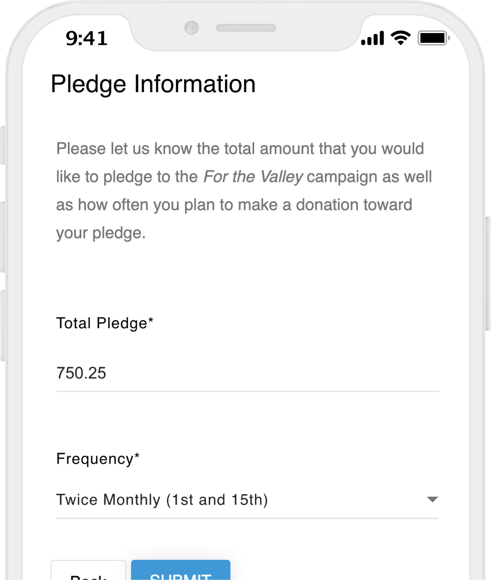 Custom Form Accept Pledges